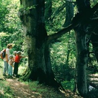  Krummbach Ochsenhausen