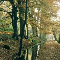  Krummbach Ochsenhausen